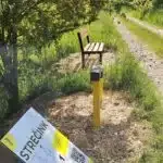 196645109_4074256112659500_938590718917536867_n