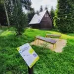 242677970_4390365584381883_362090402863361878_n